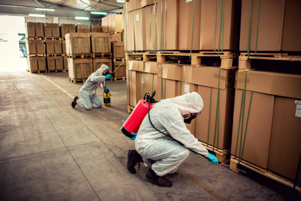 Best Best Pest Control Companies  in Aliquip, PA